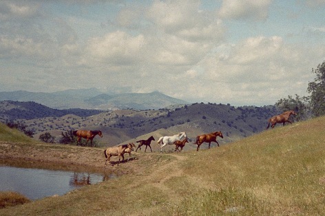 Olivia Bee, Portrait of the American West