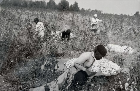 Henri Cartier-Bresson, Cotton plantation, South Carolina, 1960