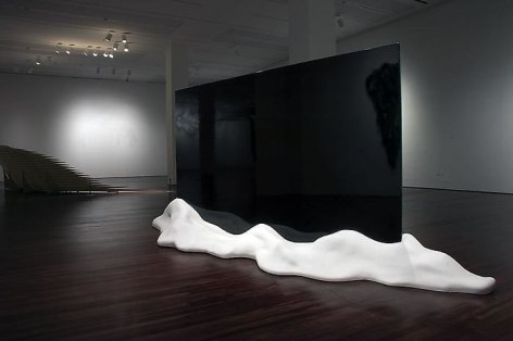 Teresita Fern&aacute;ndez Installation at the Blanton Museum of Art, 2009