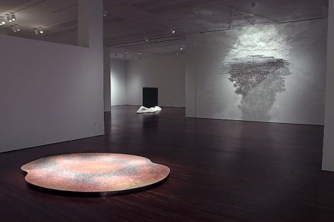 Teresita Fern&aacute;ndez Installation at the Blanton Museum of Art, 2009