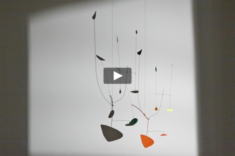 Calder Shadows