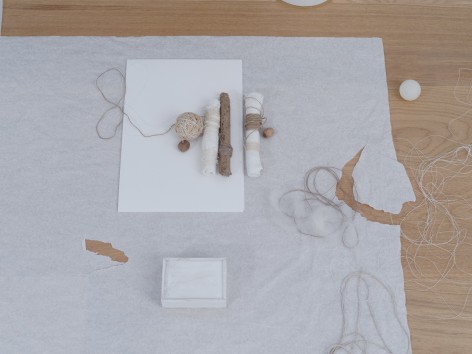 Fernanda Gomes, installation view