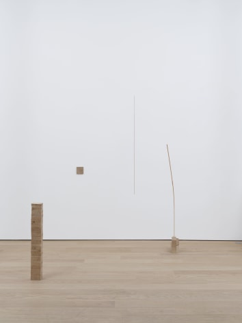 Fernanda Gomes, installation view