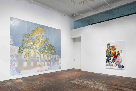 Misunderstandings, installation view