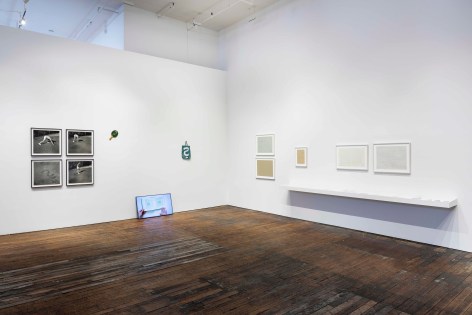 From Scratch, installation view