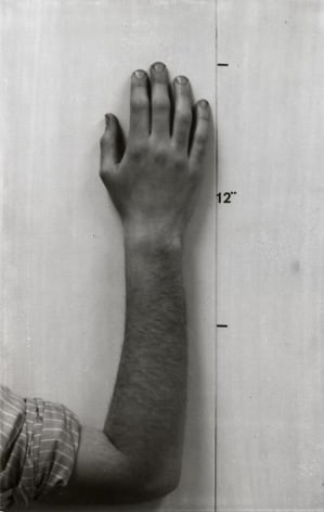 Mel Bochner Actual Size (Hand) [diptych with&nbsp;Actual Size (Face)]