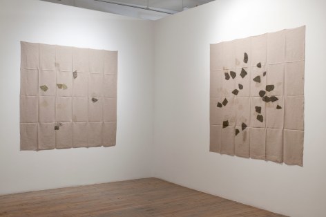 Helen Mirra: Field Notation&nbsp;&ndash; installation view 4