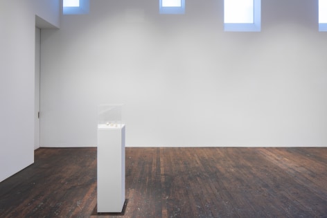 Charles LeDray:&nbsp;Shiner, installation view