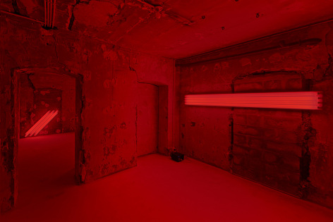 Dan Flavin (16&ndash;26 October 2024), Peter Freeman, Inc., Paris, installation view&nbsp;