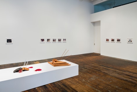 Lucy Skaer: Sentiment &ndash; installation view 9
