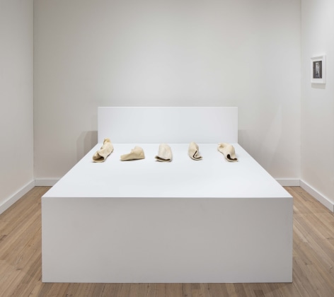 Lucy Skaer at ADAA: The Art Show, installation view