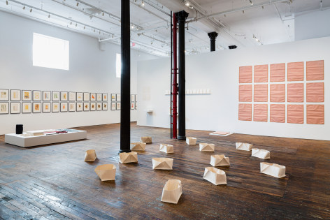 Migration of Forms 1956-2006&nbsp;- installation view 8