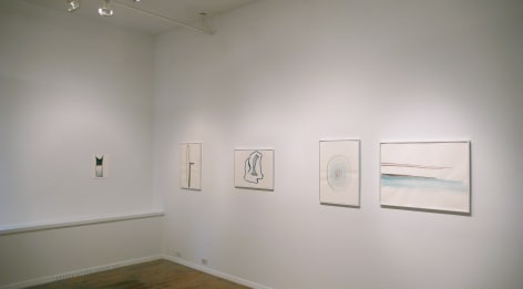 Silvia B&auml;chli: Fjall,&nbsp;installation view