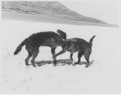 Strike, Strike, Struck, detail