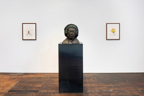 Thomas Sch&uuml;tte, installation view