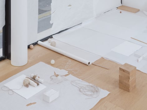 Fernanda Gomes, installation view