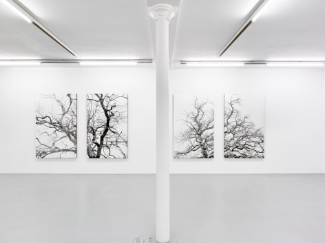 Eric Poitevin &ndash; installation view 7