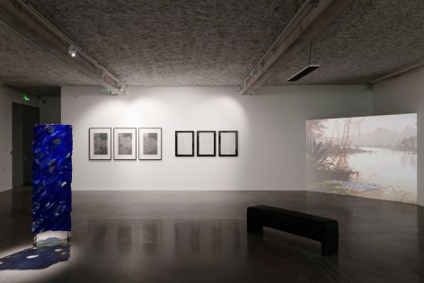 Sans r&eacute;serve,&nbsp;group exhibition, installation view, curated by Alexia Fabre