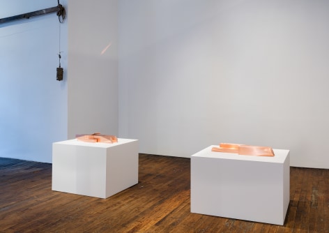 Lucy Skaer: Sentiment &ndash; installation view 3