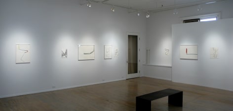 Silvia B&auml;chli: Fjall,&nbsp;installation view