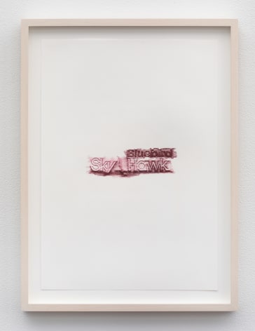 Elisabetta Benassi, Safari, 2019&ndash;2022, frottage on paper, 16 1/2 x 11 5/8 inches (41.9 x 30 cm), PF7369