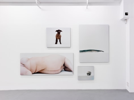 Eric Poitevin &ndash; installation view 6