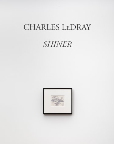 Charles LeDray:&nbsp;Shiner, installation view