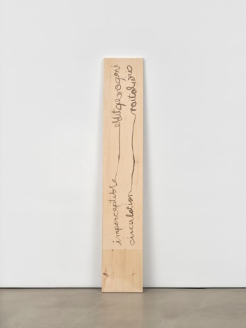 Hendl Helen Mirra, imperceptible circulation