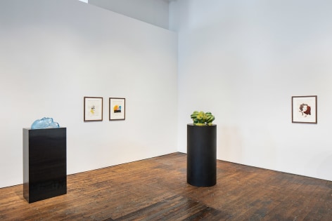 Thomas Sch&uuml;tte, installation view