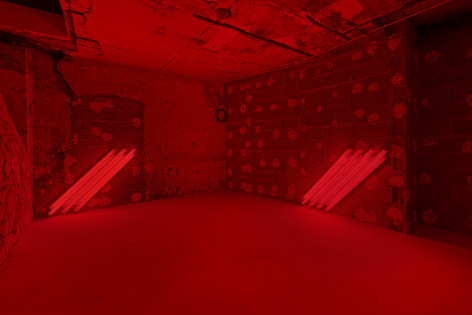 Dan Flavin&nbsp;(16&ndash;26 October 2024), Peter Freeman, Inc., Paris, installation view&nbsp;