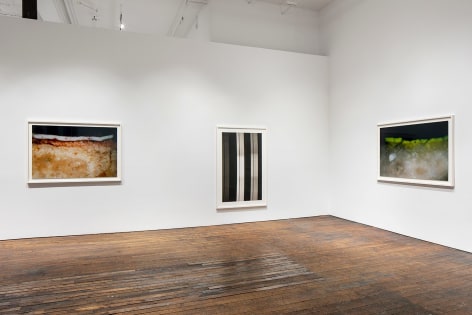 Primordial Soup, installation view