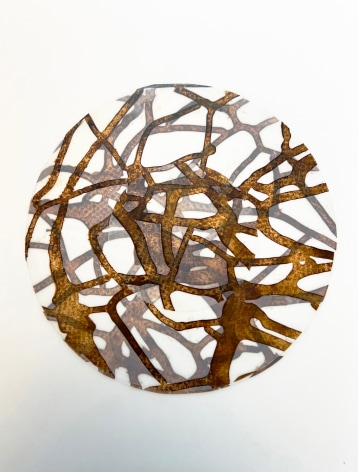 Rebecca Kamen, Roots of Matter 1