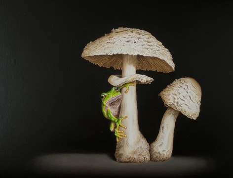 Isabelle du Toit, Frog with Mushroom, 2023