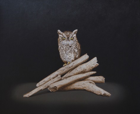 Isabelle du Toit, Screech Owl, 2023