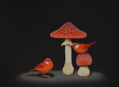 Isabelle du Toit, Red Warblers and Amanitas, 2021