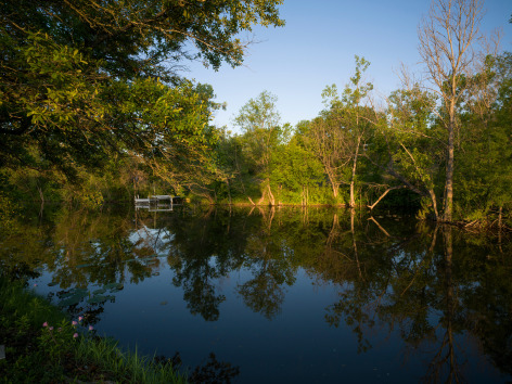 Alan Govenar, Lotus pond, Ferris, April 30, 2023, 2024