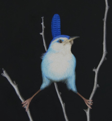 Isabelle du Toit, Blue Marsh Wren (detail), 2020