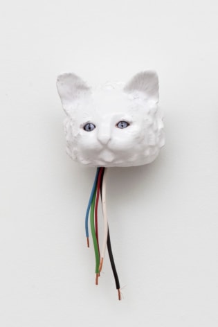 Celia Eberle, Automatic Cats (ROTO), 2020