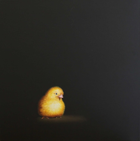 Isabelle du Toit, Chick II, 2011