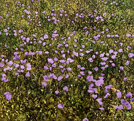 Paul Manes, Purple Poppies, 2024