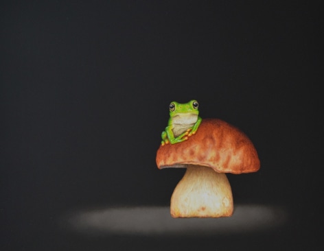 Isabelle du Toit, Frog on Mushroom, 2021