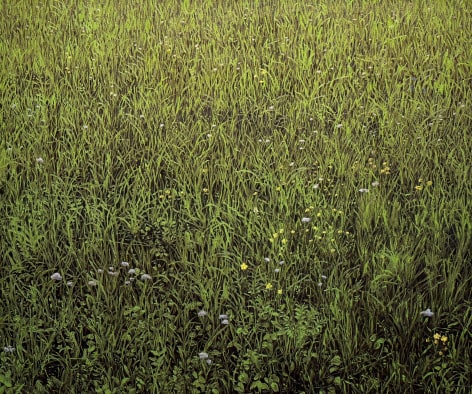 Paul Manes, Title Forthcoming, 2025
