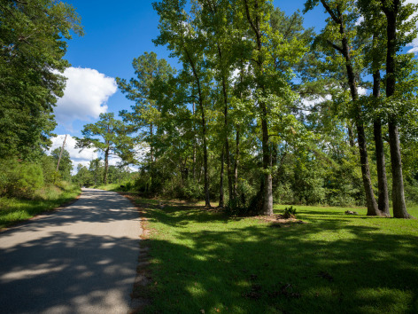 Alan Govenar, Huff Creek Road, Jasper, Texas, September 16, 2024, 2024