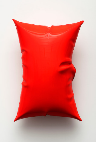William Cannings, From the Pillow Series, 2014