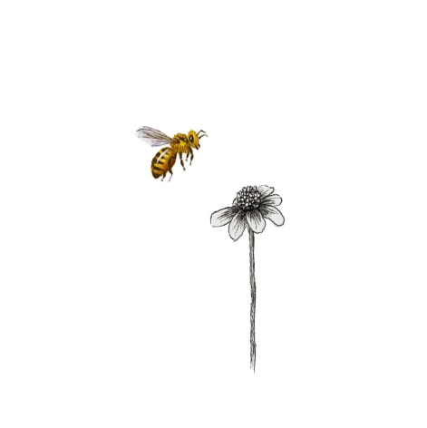 Isabelle du Toit, Bee with Flower I, 2025