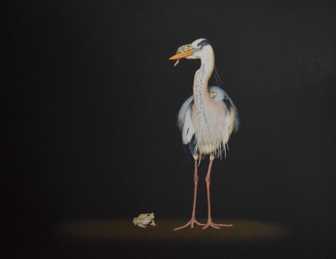 Isabelle du Toit, Heron and Toads, 2017