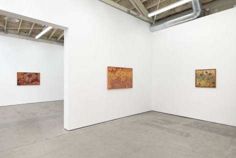 Tomas Leth,&nbsp;The Suns of Half Sleep,&nbsp;Matthew Brown, Los Angeles, 2023. Installation View.&nbsp;