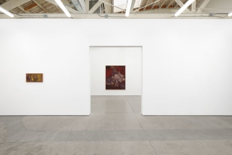 Tomas Leth,&nbsp;The Suns of Half Sleep,&nbsp;Matthew Brown, Los Angeles, 2023. Installation View.&nbsp;