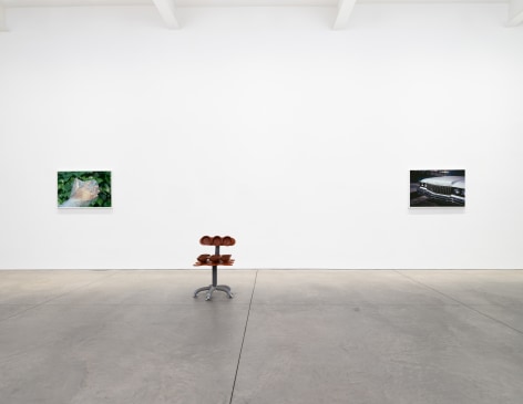 Pippa Garner,&nbsp;Misc. Pippa,&nbsp;Matthew Brown, New York, 2024. Installation view., (Photo: Jason Mandella)