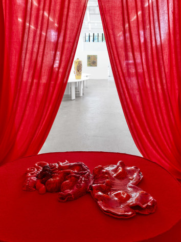 Lila de Magalhaes,&nbsp;Laps of Chrysalis,&nbsp;Matthew Brown, Los Angeles, 2024. Installation view., (Photo: Paul Salveson)